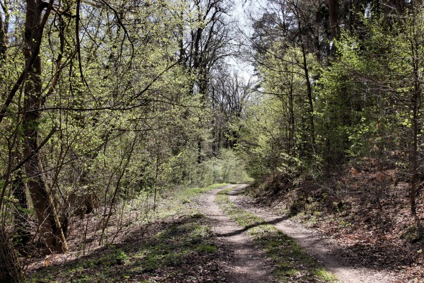 Gamengrund